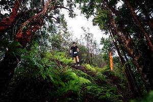 BIB: 
                            <button type="button" onclick="openModal(26203726)" class="btn btn-primary btn-sm float-right btn-popup" data-toggle="modal" data-target=".modal-high-quality">
                        <i class="fas fa-shopping-cart"></i> Add to Cart
                    </button>
                                            <button type="button" onclick="isThisMe(26203726, true)" class="btn btn-success btn-sm float-right btn-popup btn-isme hidden" data-toggle="tooltip" data-placement="bottom" title="นี่คือรูปของคุณใช่ไหม คลิกที่นี่เพื่อเอาเข้าอัลบั้ม">
                        <i class="fas fa-plus"></i> Add to album
                    </button>
                    <button type="button" onclick="isThisMe(26203726, false)" class="btn btn-warning btn-sm float-right btn-popup btn-isnotme hidden">
                        <i class="fas fa-ban"></i> Remove from album
                    </button>